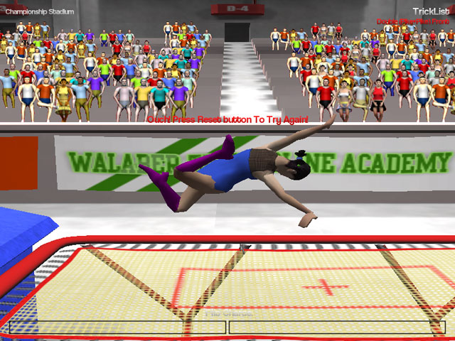 » The World's Finest Trampoline Simulator